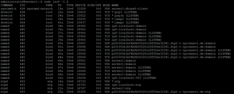 LSOF IPv6-Listener