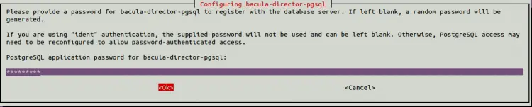 PostgreSQL-Passwort