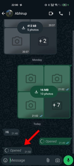 aplicativo oficial do WhatsApp