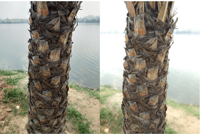 8 funzionalità della fotocamera del vivo v9 che dovresti conoscere - campione fotocamera vivo v9