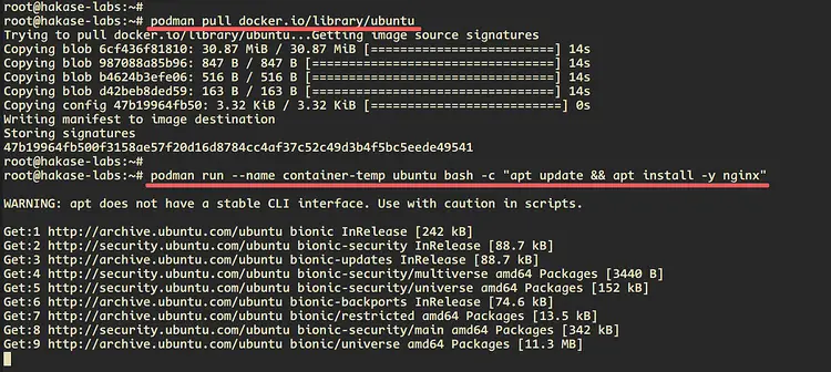 Usar commit para crear imágenes personalizadas