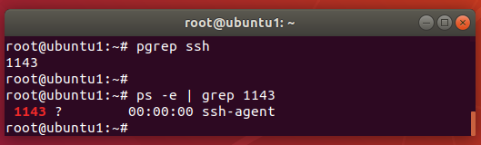 Trouver le processus ssh avec pgrep