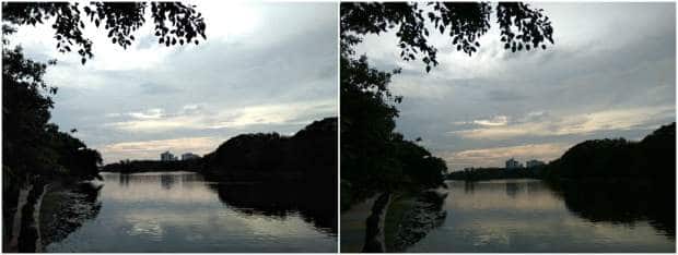 photo_11