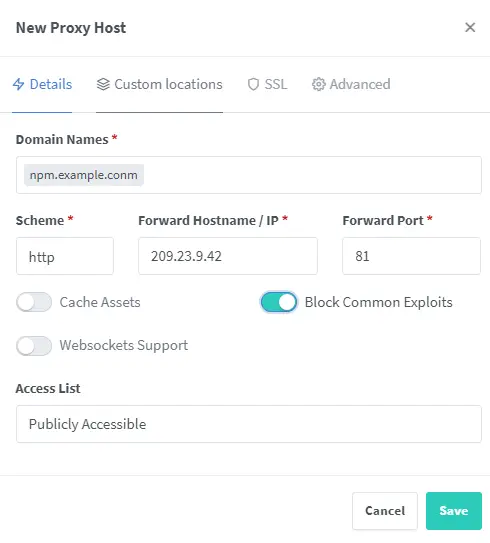 Tela Novo Proxy Host do Nginx Proxy Manager