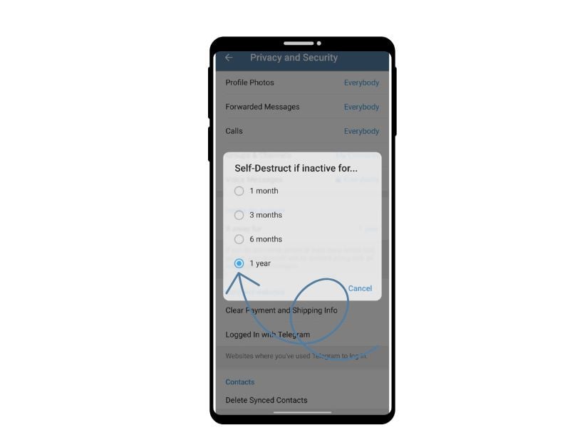 imagen que muestra cómo eliminar la cuenta de telegram