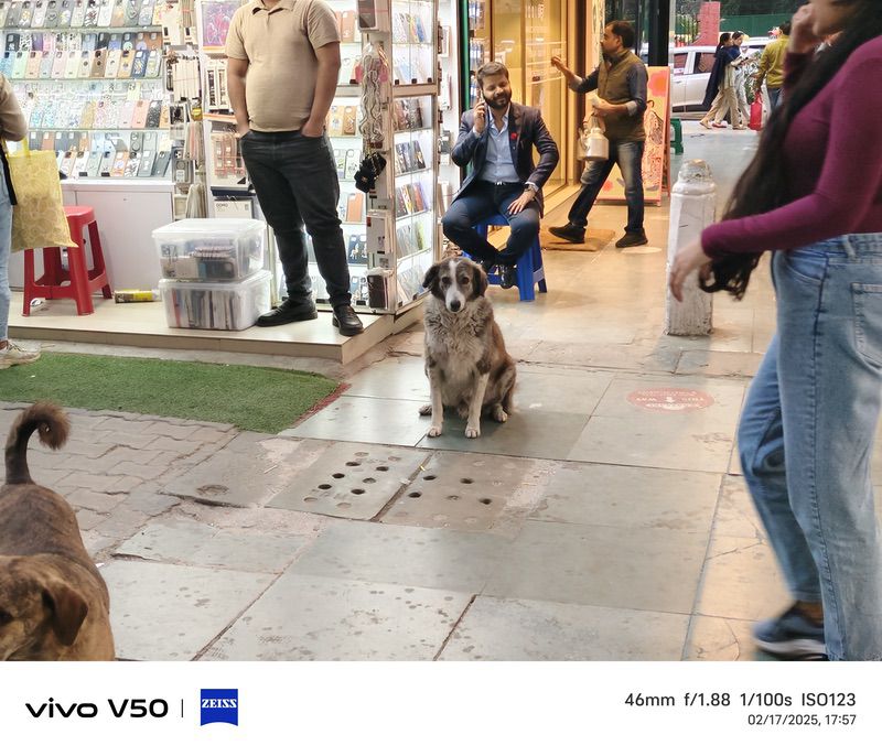 vivo v50 avis : le roi des caméras du segment intermédiaire ! - img 20250217 175704