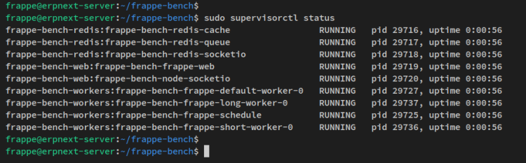 verify supervisorctl