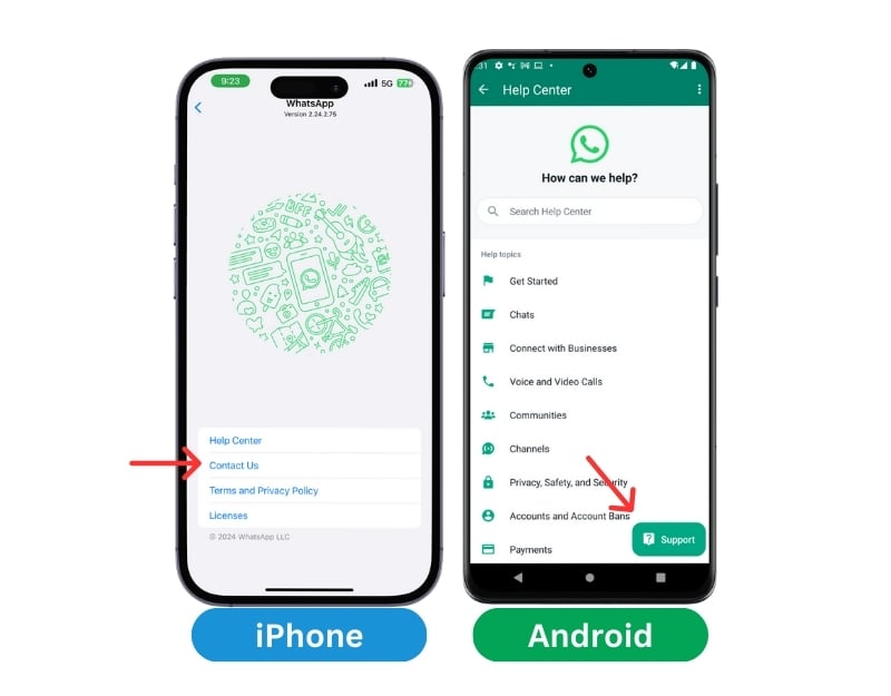 support whatsapp