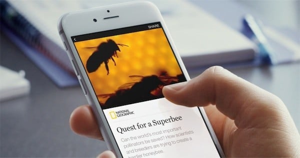 articles-instantanés