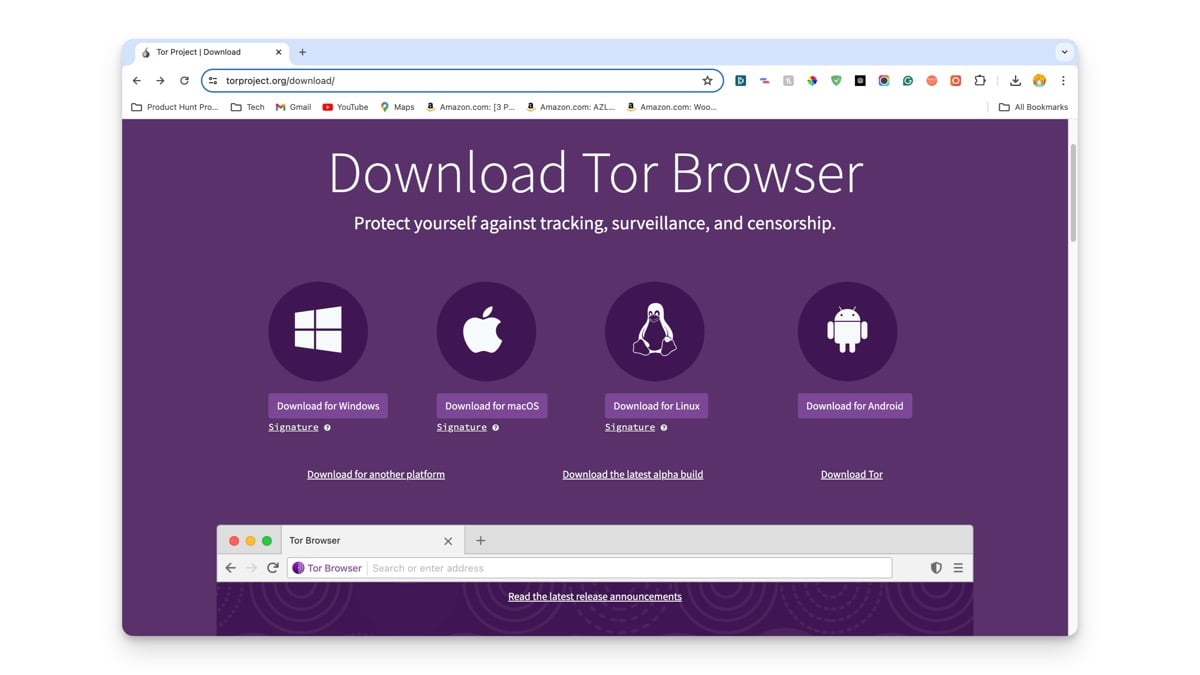 navegador tor para desbloquear sitios web