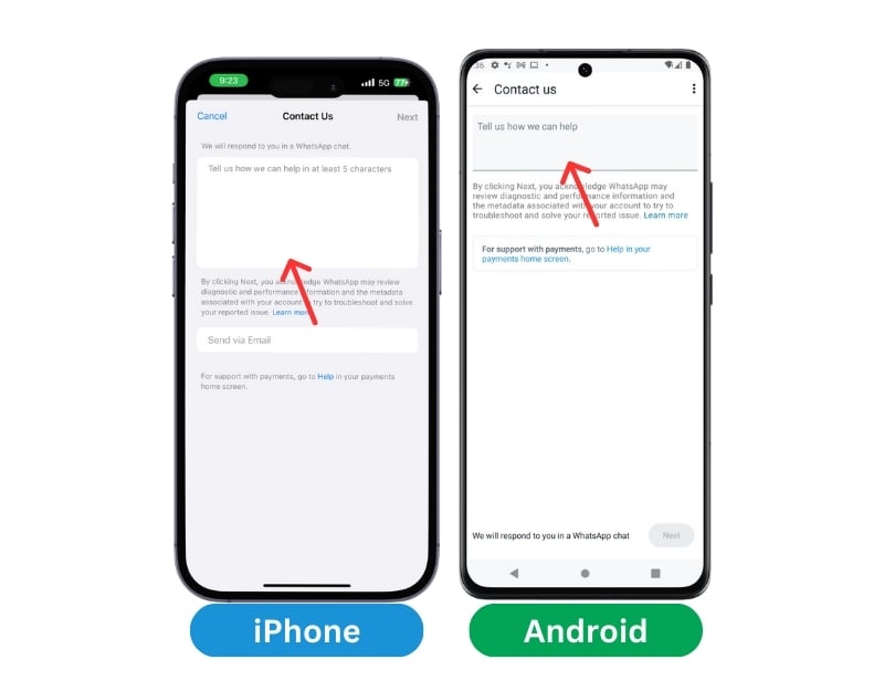 contactez-nous whatsapp