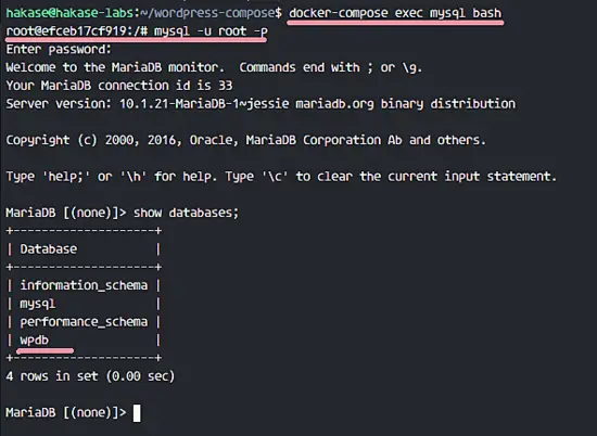 MySQL Docker Composeサービス
