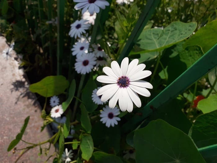 Samsung Galaxy M30 Test: Auf der Jagd nach dem Note? - img 0738