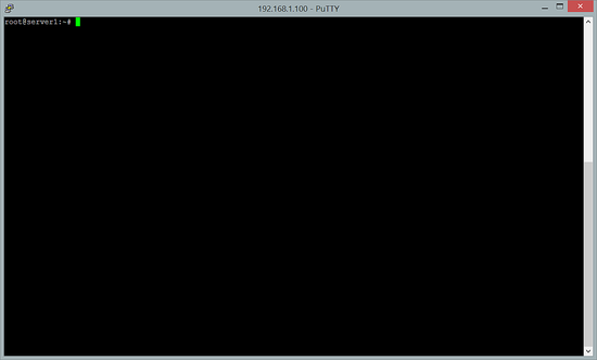 Prompt del comando screen di Linux