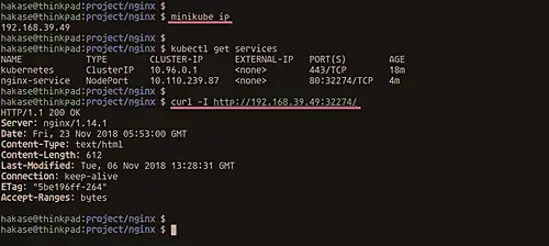 Verificar IP de Minikube