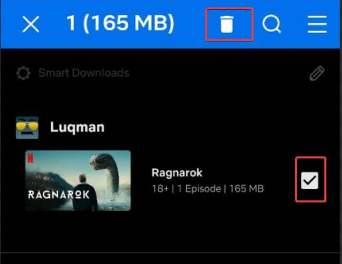 Elimina download Netflix