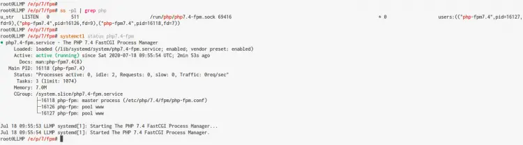 Verificar Serviço PHP-FPM