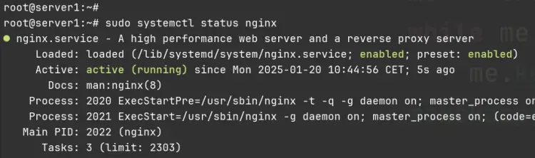 verificar nginx