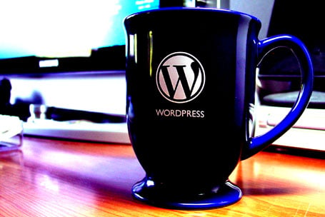 plagiat-wordpress