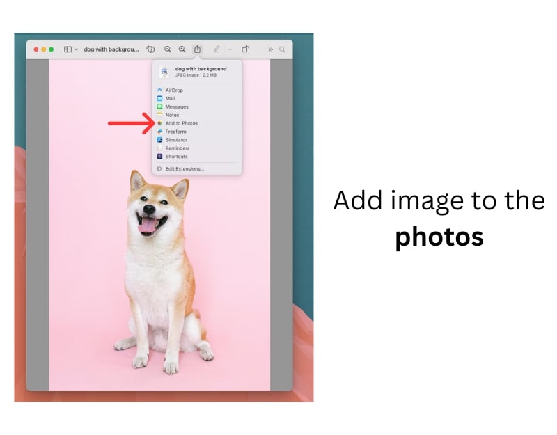 aggiungi immagine alle foto