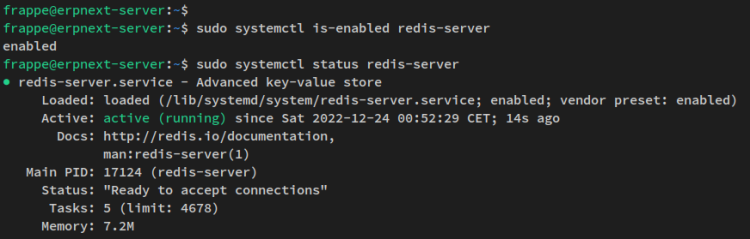 verify redis