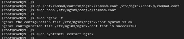 setup nginx
