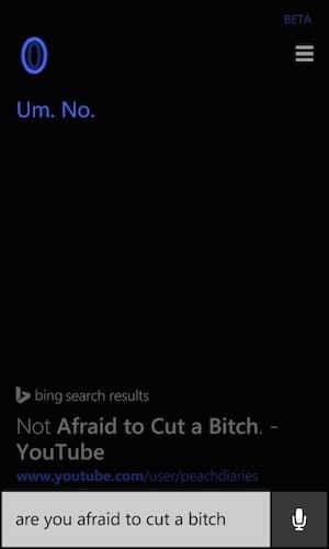 cortana-bitch