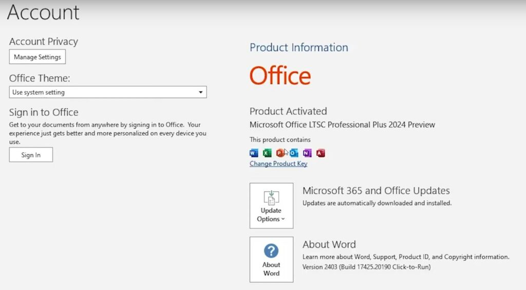 Ativar MS Office 2024