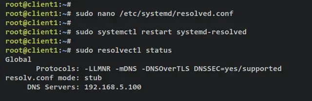 resolutor dns systemd resolved