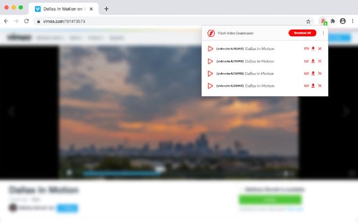the flash video downloader