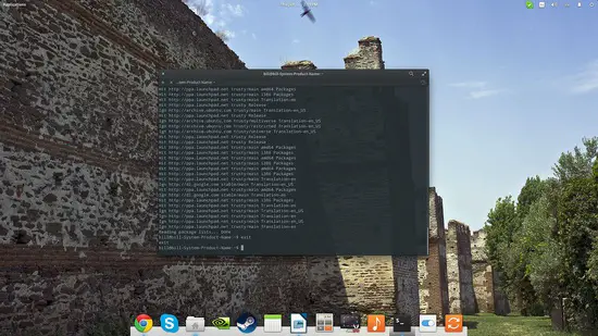 Cattura sessione terminale Linux - parte 2