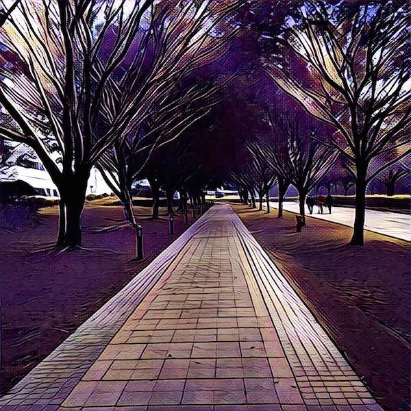 prisma-4