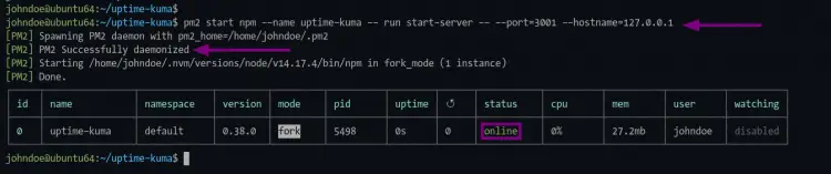 Uptime-Kuma mit pm2-Prozessmanager starten