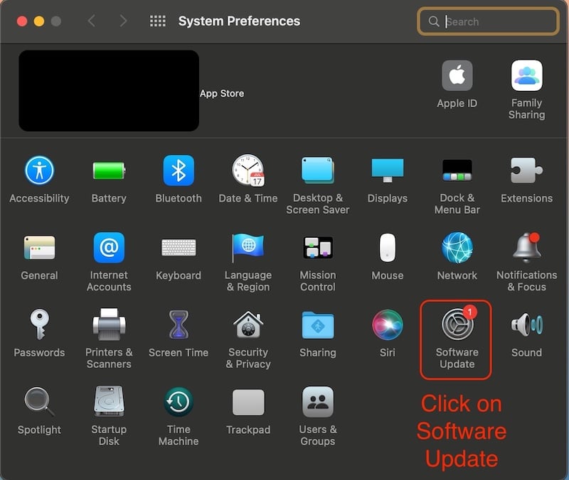 auf die Software-Update-Einstellungen klicken und dann auf Jetzt aktualisieren klicken