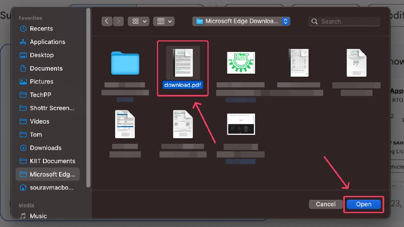 scegli il file pdf richiesto