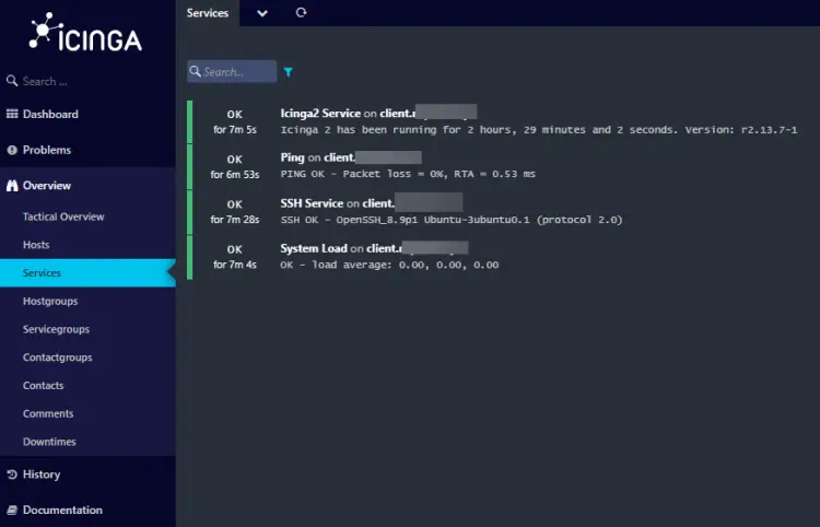 Dettagli dei servizi del client di Icinga Web