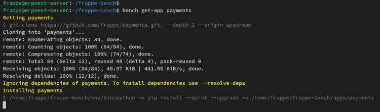 download app payments