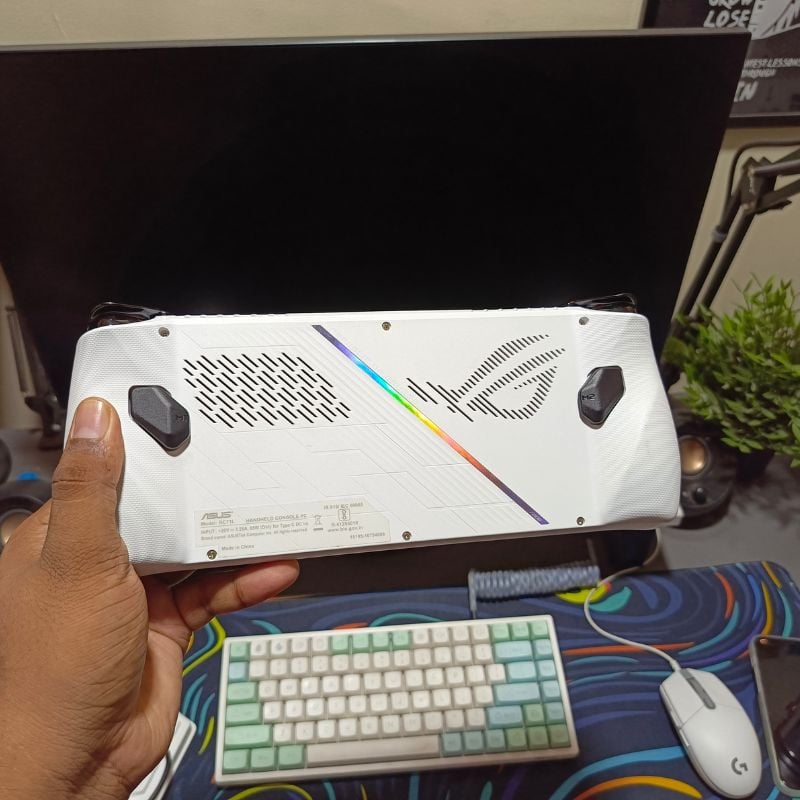 rog ally back