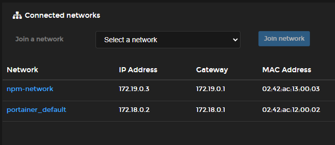 PortainerがNPMに接続