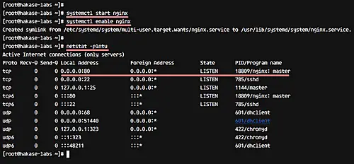 Nginx 웹 서버 시작 및 확인