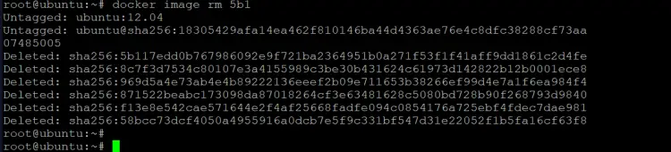 ubuntu:12.04イメージを削除します。