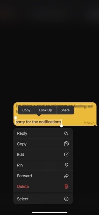 copy a part of message