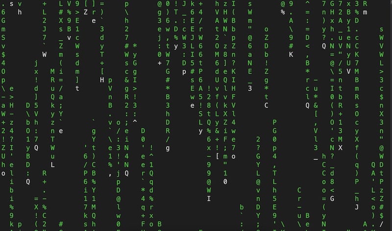 cmatrix bildschirm