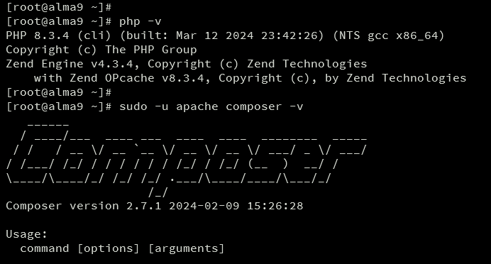 check php and composer