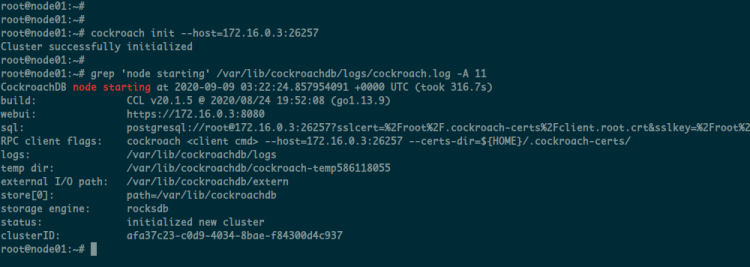 Inizializzazione del cluster CockroachDB