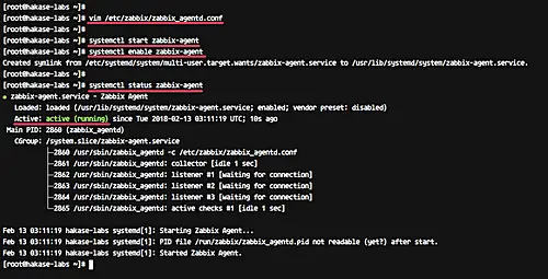 Configura agente zabbix