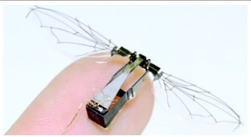 dragonfly surveillance robot