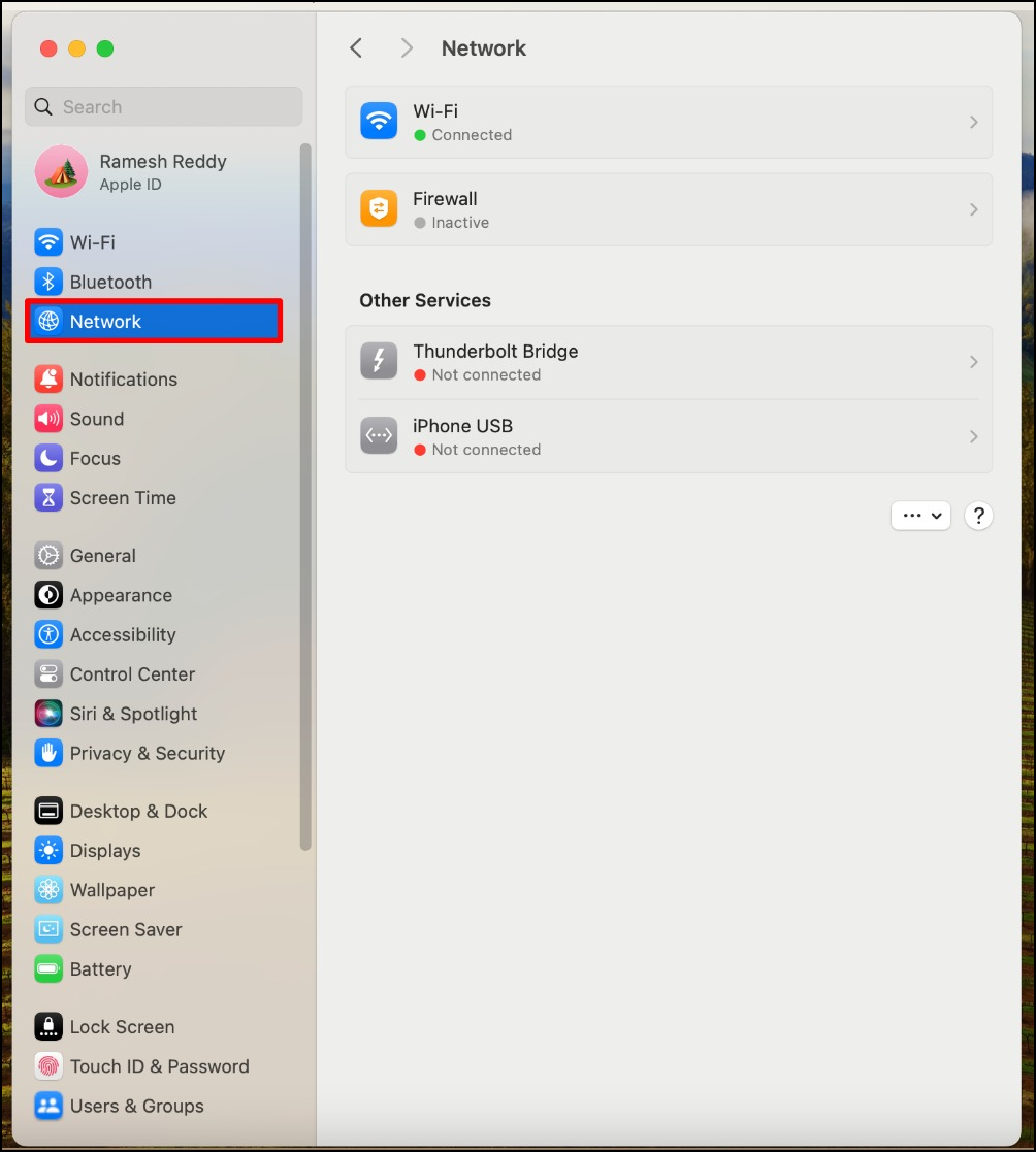 Netzwerkeinstellungen auf Mac
