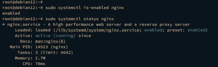 verificando nginx