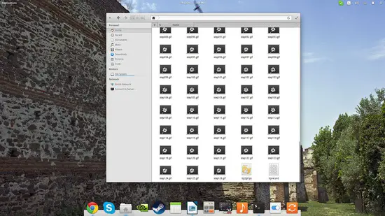 Sessione terminale registrata come file gif.